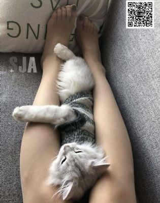国产仿大排摩托车图片_BD韩语手机在线看